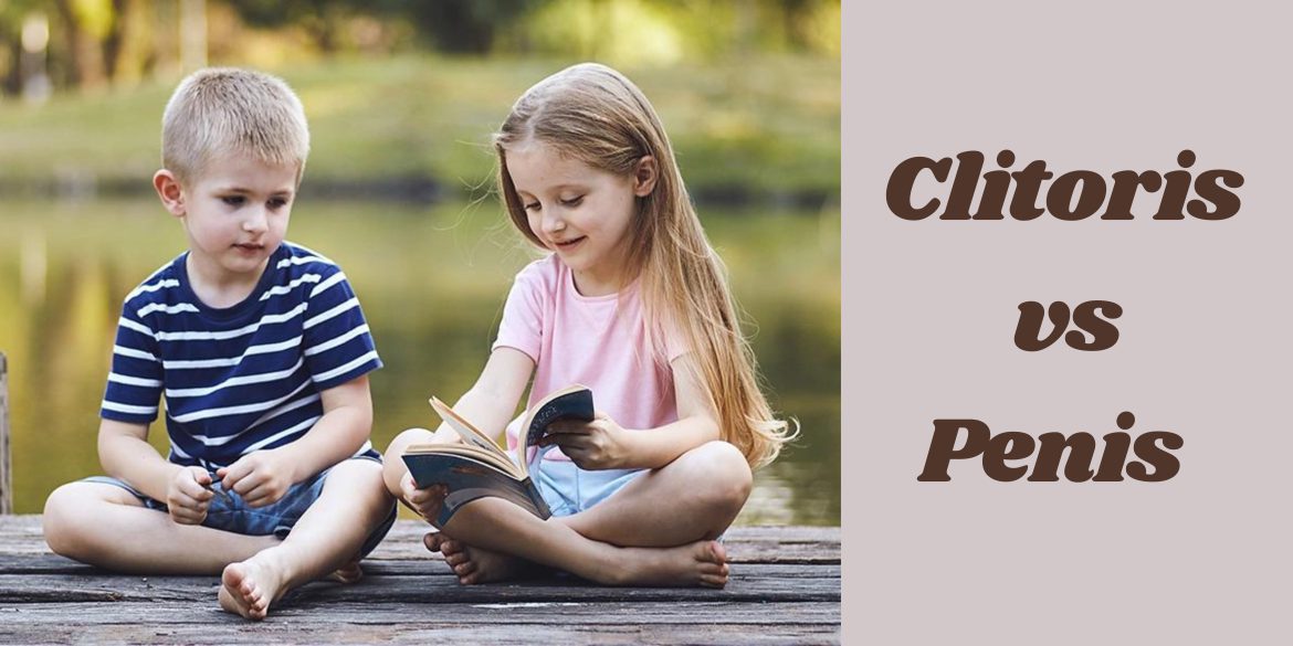 Clitoris vs. Penis comparison - fetal development stage / Puberty/anatomy/stimulation